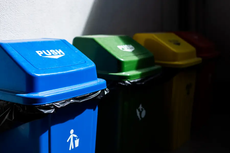 Acciones sostenibles de Chedraui por el Día Mundial del Medio Ambiente