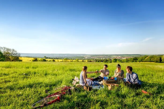 grupo de amigos disfrutando de un picnic de primavera