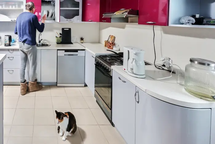 hombre y su gatito disfrutanfo de electrodomesticos para primer hogar 